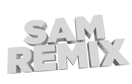 SAM Remix